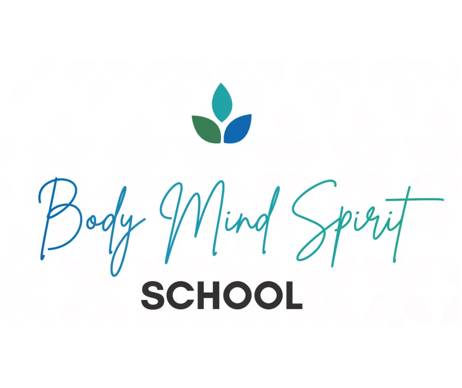 Body Mind Spirit School