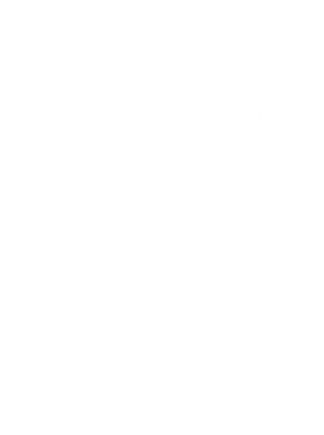 Energetic Trauma Healing logo Weiss