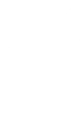 Schmetterling- Body Mind Spirit School Designelement