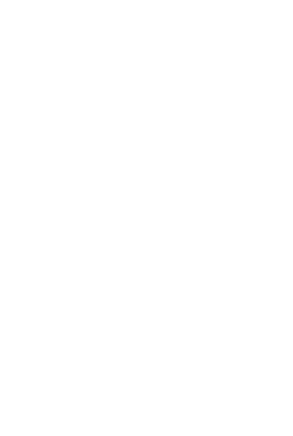 Schmetterlinge- Body Mind Spirit School Designelement