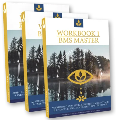 BMS School Master Workbook
