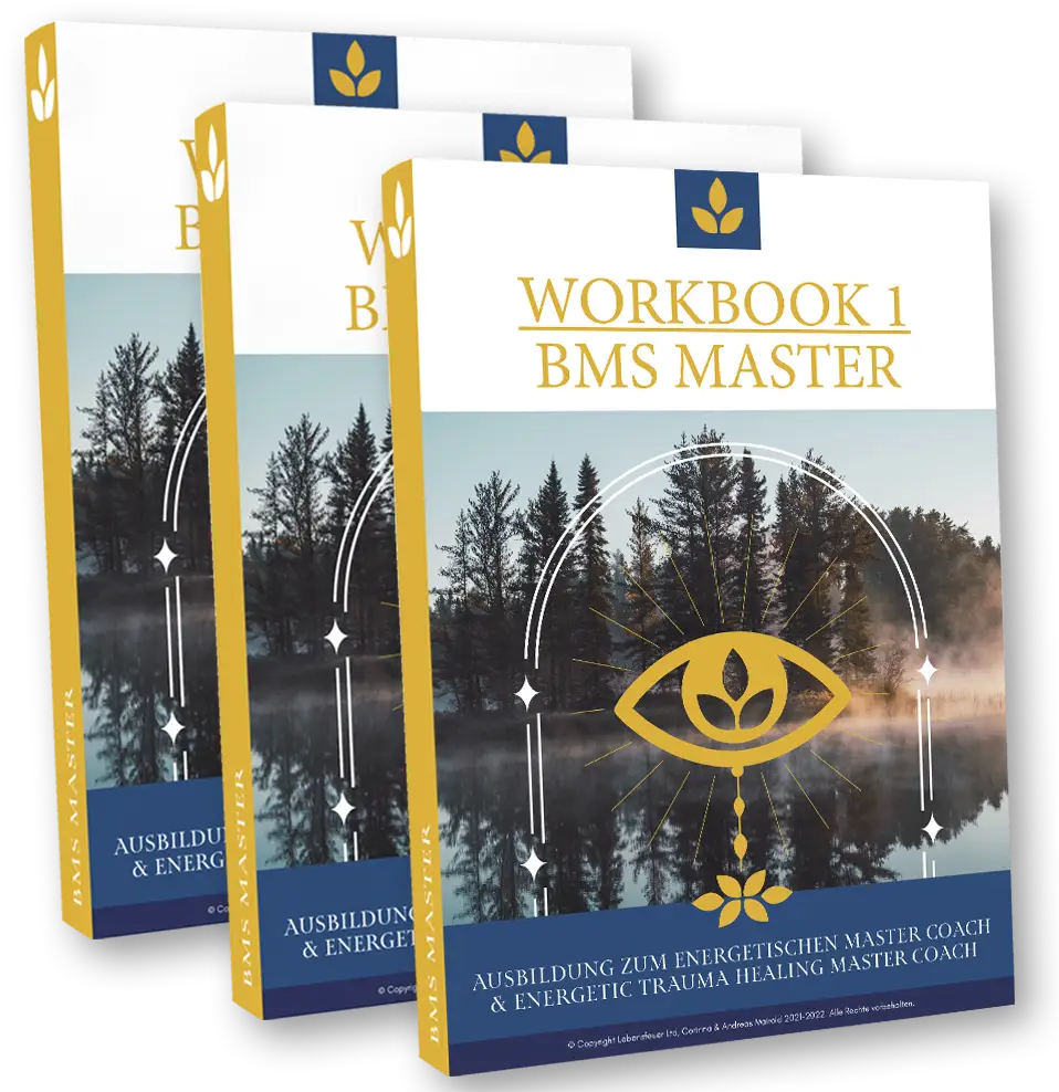 BMS School Master Workbook