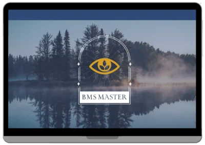 BMS School Master Logo am Bildschirmhintergrund