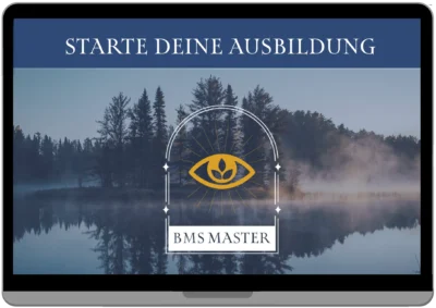Starte deine Ausbildung zum BMS Master