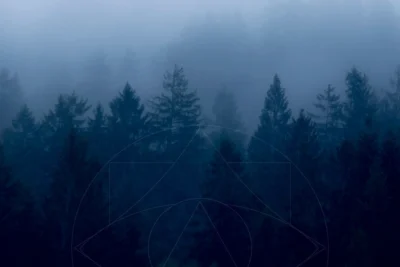 In Nebel gehüllter Wald Nachts