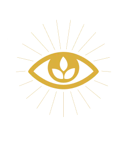 Logo der Body Mind Spirit Masterclass